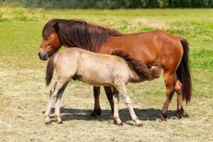 ワンオペ育児からの転職は成功するのか？
