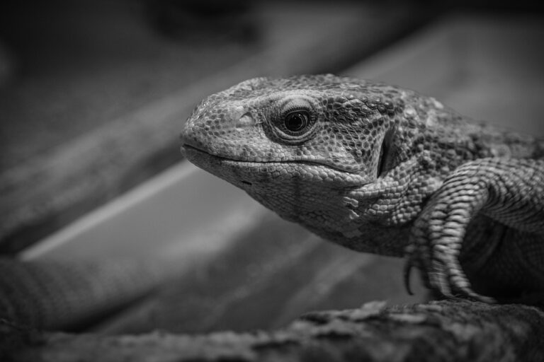 ワーママが転職をした後に後悔しないためのポイントは？