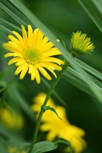 ワーママの転職成功に向けた体験談とは？