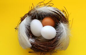 専業主婦が転職を成功させた体験談とは？