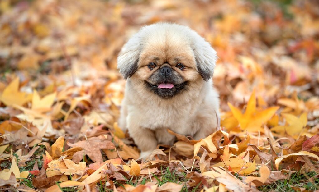 時短転職を成功させるためのコツは？