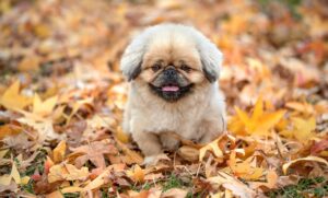 ワーママが転職する際の最適なタイミングはいつ？