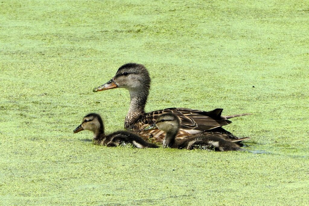 育児と仕事を両立させるためのコツは？