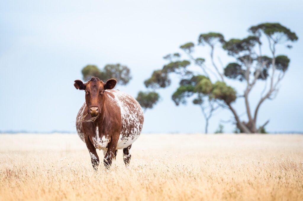 育児休暇中に転職できる方法とは？