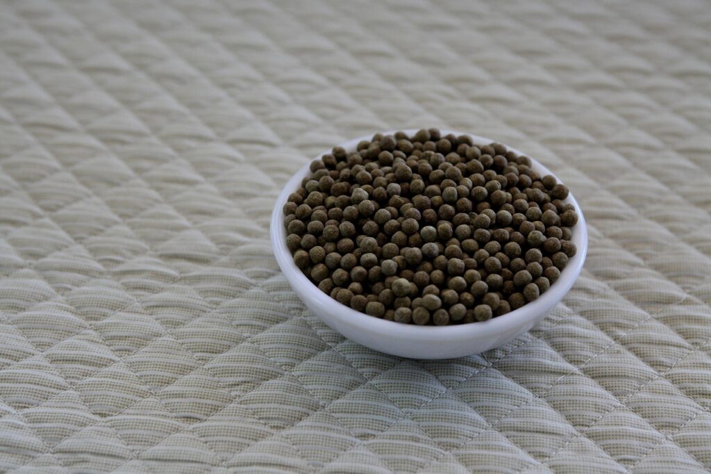 子育てママがパソコン苦手でもできる転職対策は？