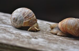 子育てママがストレス少ない仕事を見つける方法は？